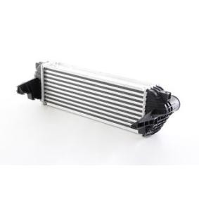 Kjøp Intercooler av BSG BSG 30-535-005 til den lave prisen 2579,94 NOK