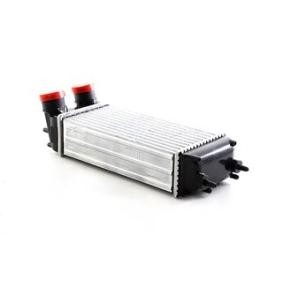 Kjøp Intercooler av BSG BSG 30-535-012 til den lave prisen 2948,18 NOK