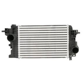 Compre Intercooler da THERMOTEC DAX034TT a um preço baixo por 62,07 €