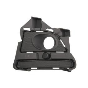 Lüftungsgitter, Stoßfänger 6502-07-2585915GP FORD USA von BLIC