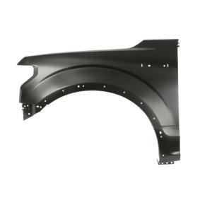 Kotflügel 6504-04-2593313AP von BLIC günstig für 228,52 € online kaufen