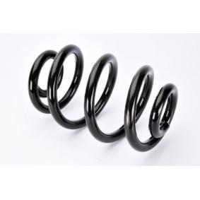 Compre Molas de Magnum Technology online para Interstar Camião de plataforma / Chassis (X62B) a preços moderados