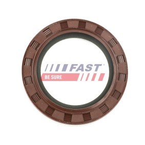 Wellendichtring, Differential von FAST