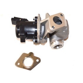 Compre Válvula EGR da FAST FT60225 a um preço baixo por 111,19 €