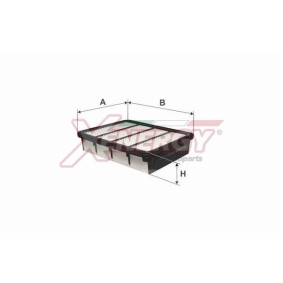 Køb Luftfilter af AP XENERGY X1591201 til den lave pris 74,47 DKK