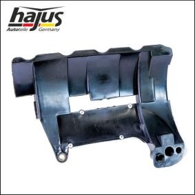 Ölwanne des Herstellers hajus Autoteile - Originalware Artikelnummer: 1031011