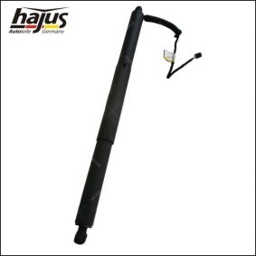 Kühlerlüfter des Herstellers hajus Autoteile - Originalware Artikelnummer: 1211316