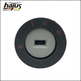 Reparatursatz, Schalthebel des Herstellers hajus Autoteile - Originalware Artikelnummer: 3011004