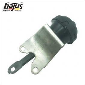 Achsträger des Herstellers hajus Autoteile - Originalware Artikelnummer: 4121071