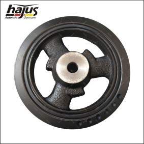 Achetez des Cadre de poignée de porte hajus Autoteile 8371004 à prix pour 1,95 €