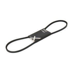 Keilriemen des Herstellers RIDEX - Originalware Artikelnummer: 10C0117