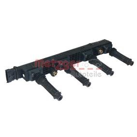 Acquista Bobina d'accensione da METZGER 0880010 a buon mercato per soli 175,63 €
