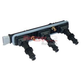 Compre Bobina de ignição da METZGER 0880042 a um preço baixo por 131,13 €