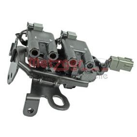 Compre Bobina de ignição da METZGER 0880121 a um preço baixo por 59,74 €