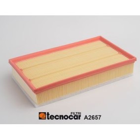Acquista Filtro aria da TECNOCAR A2657 a buon mercato per soli 63,73 €