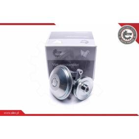 Compre Bomba de vácuo, sistema de travagem da ESEN SKV 18SKV038 a um preço baixo por 122,77 €