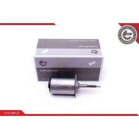 Stellelement, Exzenterwelle (variabler Ventilhub) von ESEN SKV