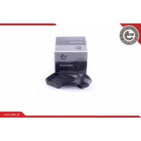 Türgriff 96SKV113 von ESEN SKV günstig für 12,46 € online kaufen
