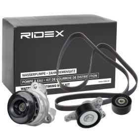 Achetez des Kit de courroie d'accessoire de chez RIDEX en ligne pour Laguna III Coupé (DT, DT0/1) à prix modérés