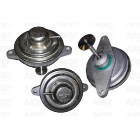 AGR-Ventil von NAP carparts