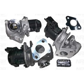 AGR-Ventil von NAP carparts