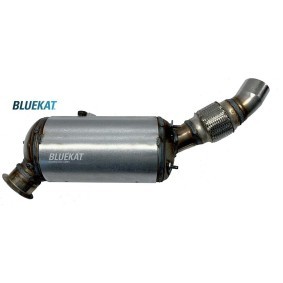 Acquista Filtro antiparticolato (FAP) da BLUEKAT 442015 a buon mercato per soli 721,56 €