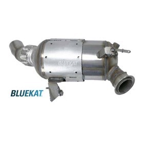 Acquista Filtro antiparticolato (FAP) da BLUEKAT 882010 a buon mercato per soli 394,69 €