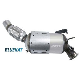 Acquista Filtro antiparticolato (FAP) da BLUEKAT 882011 a buon mercato per soli 394,69 €