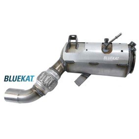 Acquista Filtro antiparticolato (FAP) da BLUEKAT 882012 a buon mercato per soli 394,69 €