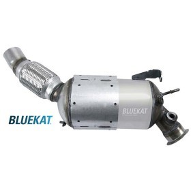 Acquista Filtro antiparticolato (FAP) da BLUEKAT 992011 a buon mercato per soli 610,52 €