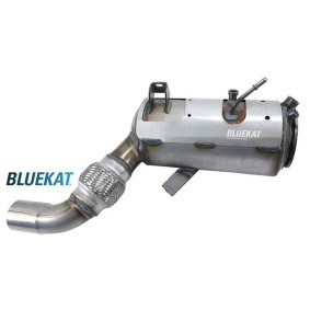 Acquista Filtro antiparticolato (FAP) da BLUEKAT 992012 a buon mercato per soli 684,18 €