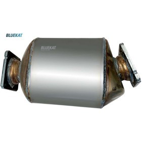 Acquista Filtro antiparticolato (FAP) da BLUEKAT 992060 a buon mercato per soli 630,33 €