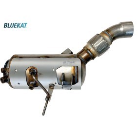 Acquista Filtro antiparticolato (FAP) da BLUEKAT 992061 a buon mercato per soli 721,56 €