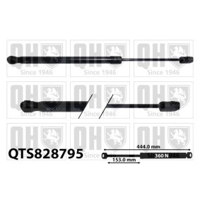 Motorhaubendämpfer QTS828795 von QUINTON HAZELL günstig für 49,00 € online kaufen
