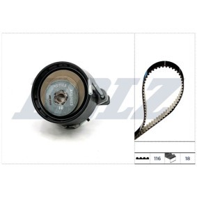Achetez des Kit de distribution de chez DOLZ en ligne pour DB7 Décapotable à prix modérés