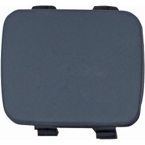 Klappe, Abschlepphaken 1280166 von DIEDERICHS günstig für 16,56 € online kaufen