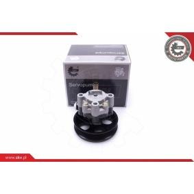 Compre Bomba de direção da ESEN SKV 10SKV298 a um preço baixo por 156,31 €