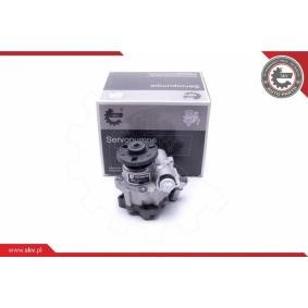 Compre Bomba de direção da ESEN SKV 10SKV312 a um preço baixo por 163,55 €