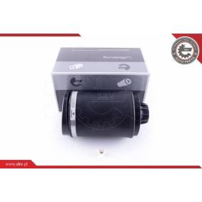 Acquista Molla pneumatica da ESEN SKV 58SKV027 a buon mercato per soli 137,72 €