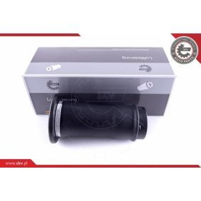 Compre Mola pneumática da ESEN SKV 58SKV039 a um preço baixo por 151,26 €