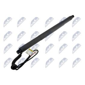 Compre Amortecedor da mala de NTY online para X6 (F16, F86) a preços moderados