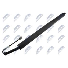 Heckklappendämpfer AE-FR-071 von NTY günstig für 117,70 € online kaufen