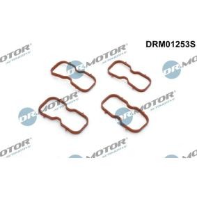 Dichtungssatz, Ansaugkrümmer für NISSAN von DR.MOTOR AUTOMOTIVE