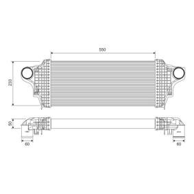 Acquista Intercooler da VALEO online per Classe R (W251, V251) a prezzi moderati