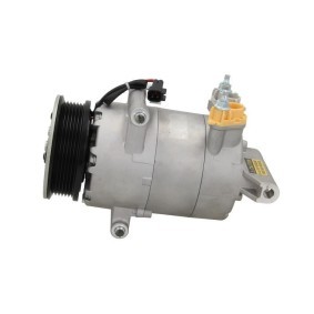 Kjøp AC-kompressor av BV PSH 090.575.056.501 til den lave prisen 5081,19 NOK