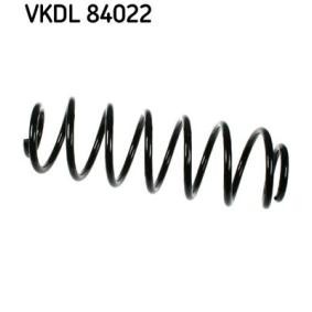 Køb Fjeder af SKF VKDL 84022 til den lave pris 295,17 DKK