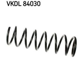 Køb Fjeder af SKF VKDL 84030 til den lave pris 271,51 DKK