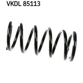 Køb Fjeder af SKF VKDL 85113 til den lave pris 575,59 DKK