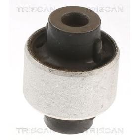 Compre Suspensão, braço oscilante da TRISCAN 8500 288001 a um preço baixo por 10,64 €