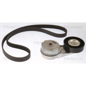Acquista Kit Cinghie Poly-V da TRISCAN 8642 10028 a buon mercato per soli 136,87 €